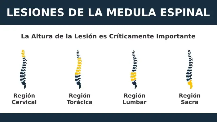 Diferentes Lesiones de la Medula Espinal